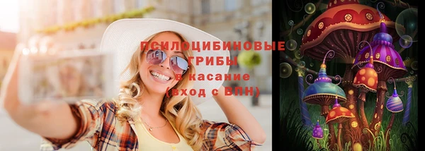 дурь Алзамай
