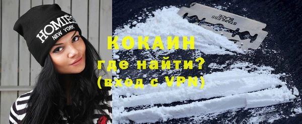 шишки Мегион